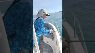 Fishing Thailand - Fishing Koh Chang Island. #FishingThailand #KohChangFish   KohChangTourGuides.com