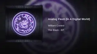 Analog Flesh (In A Digital World)