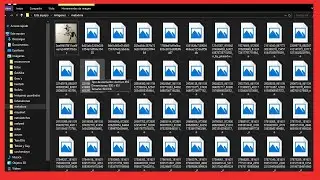 No puedo ver las imagenes en miniatura windows 11
