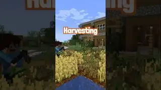 Minecraft Harvesting VS Planting be like…