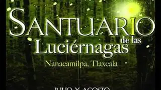 Santuario de Luciérnagas en Tlaxcala ¿Quieres venir? abajo la liga
