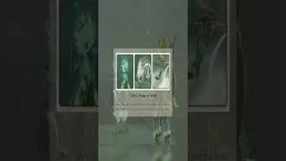 see you in the next life #gaming #thelegendofzeldatearsofthekingdom #tearsofthekingdom #totk
