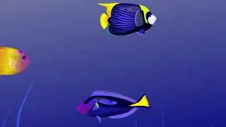 Fish animation. School of fish animation. Fishes