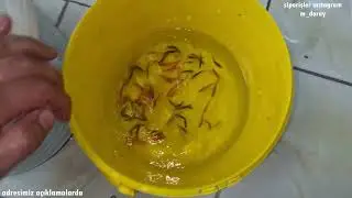 PET SHOPDA 100 ADET BALIK ÖLDÜ MÜ?