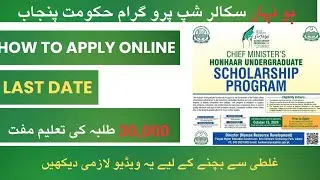 Honhaar Scholarship 2024 in Punjab | How To Apply For Honhaar Scholarship | Eligibility | Last Date?