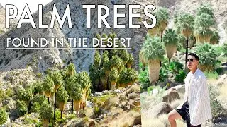 I FOUND A OASIS IN THE DESERT of California