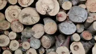 Linicewood company profile EN