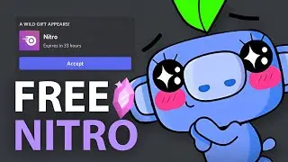 How to get Free Discord Nitro ( 5 Ways )