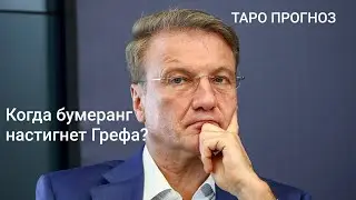 18+ Когда бумеранг настигнет Грефа?