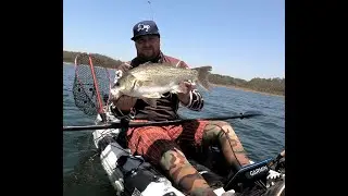 AUSTRALIAN BASS FISHING|EXPLORING QLD DAMS