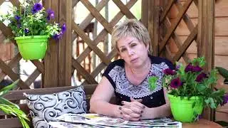 Что посадить в мае  Советы садоводам и дачникам  канал хитсад