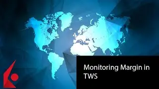 Мониторинг маржи в терминале TWS.  Interactive Brokers