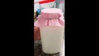 KEFIR DE LECHE