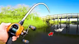 RECORD DAY OF FISHING (LOADED w/ GIANT FISH)
