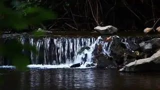Relaxing  Music, piano music, Sleep Music, Water Sounds, Meditation Music, study music
