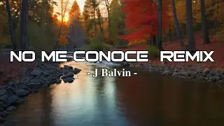 Jhay Cortez, J. Balvin, Bad Bunny - No Me Conoce Remix (Letra/Lyrics)