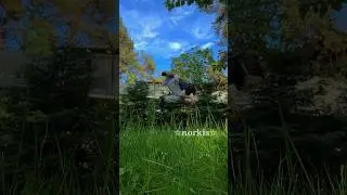 #therian