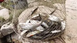 DSCN1036