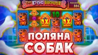 ПОЛЯНА СОБАК В THE DOG HOUSE MEGAWAYS! / ПОШЕЛ В ALL-IN