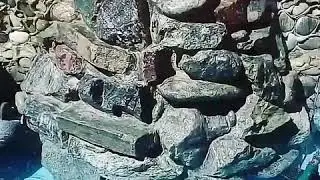 Ajoyib fantan