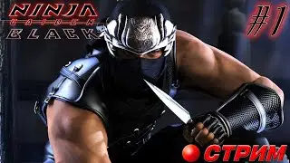 Ninja Gaiden Black X360 (Часть 1)