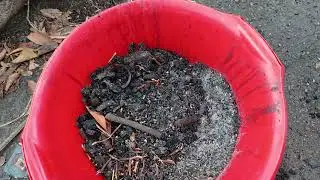 маслопресс