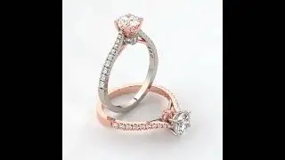 3d rendering rings
