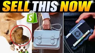 Best AliExpress Products To Sell on Shopify  | Sell This Now