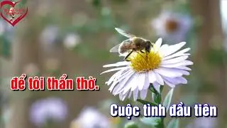 KARAOKE CHIỀU SÂN GA 2 TONE NAM