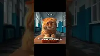 #рекомендации #история