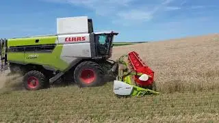 Moisson de blé et Pressage de la paille 2k23