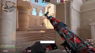 donk cfg test