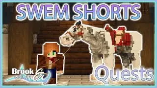 SWEM Shorts- A Simple Guide to SWEM: Quests!