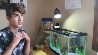 Putting my Betta Fish in a COMMUNITY TANK!!!