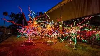 Chihuly: Neons
