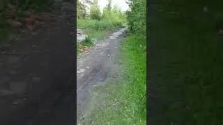 25 мая 2023 г.