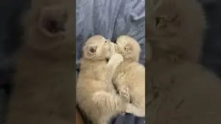 Драка молча 🤫 