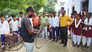 स्कूल के अंदर निकली बिचखोपड़ी बच्चे काफी डरे हुए थे