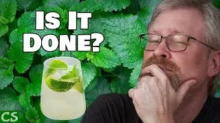 Mojito Kilju Update and Racking - Racking Kilju Wine