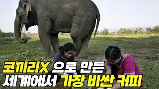☕커피 한잔 할래요~? 근데 좀 많이 비싼...TOP 6 !!!