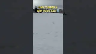 UMX Timber X with Ski's (Horizon Hobby/Dubro)