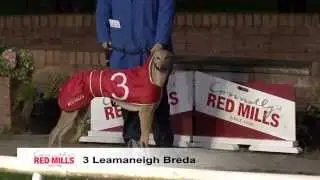 Droopys Muriel Impresses At Newbridge