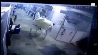 Лошадь и дверь добавить аудио криминальная россия