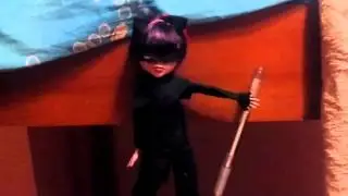 Супер кошка