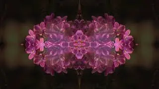Adamant (Ger) feat. David Rossi - In Your Mind