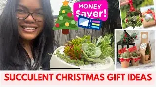 CHRISTMAS SUCCULENT GIFT IDEAS (Save money, give succulents as gifts)