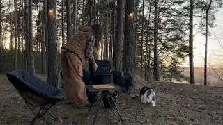 At last, I’m in the forest… | “Comfort Camping” (Part Two)