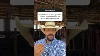 Duração do Processo de Mudança do Gado de um Pasto para Outro na Pecuária. #dicas #pecuaria #boi
