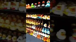Amsterdam.  Ducks store.