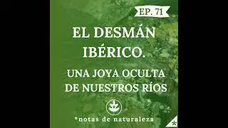 El Desmán Ibérico. Una joya oculta de nuestros ríos. #71